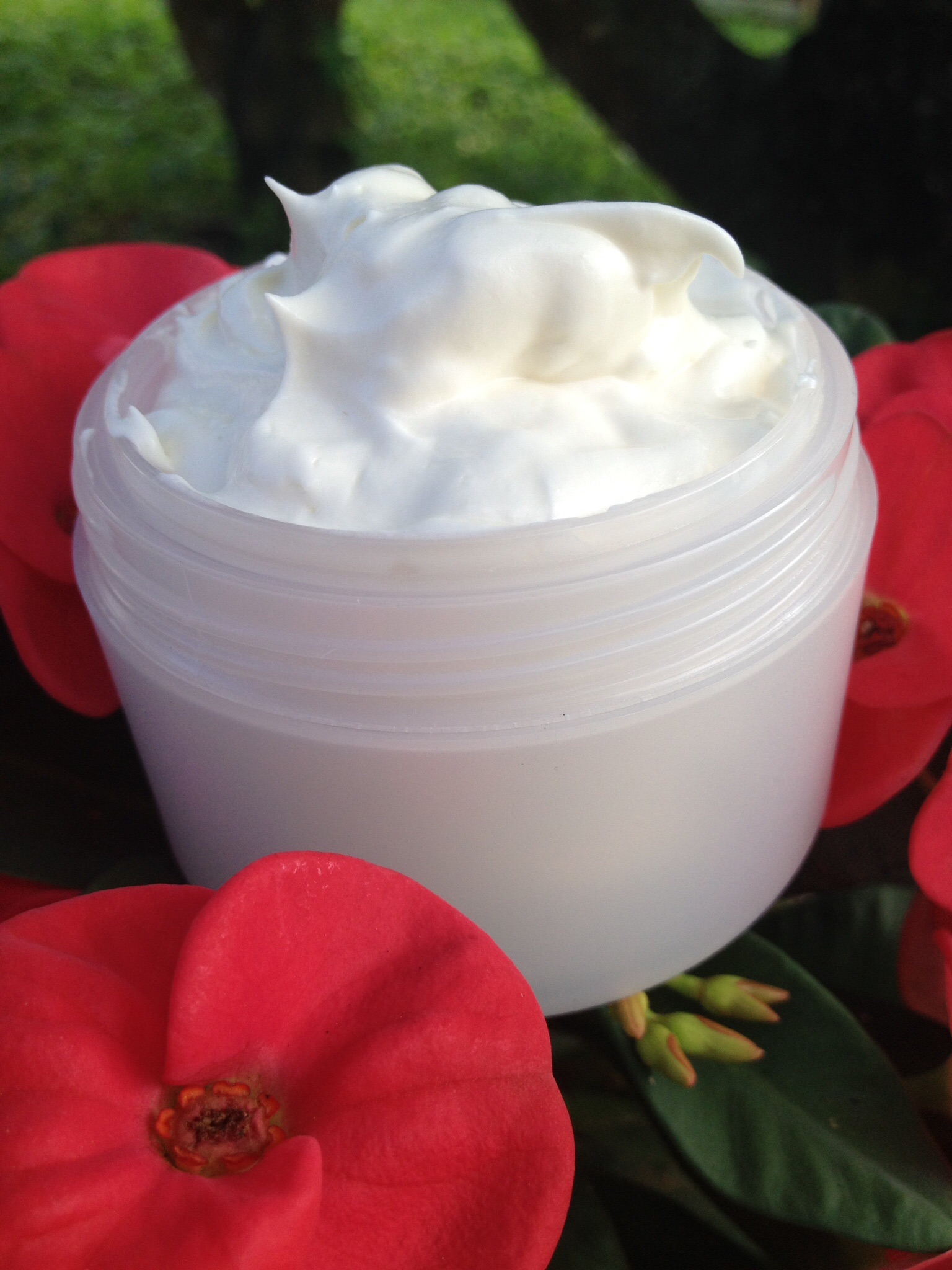 Les bienfaits Chantilly au Karité